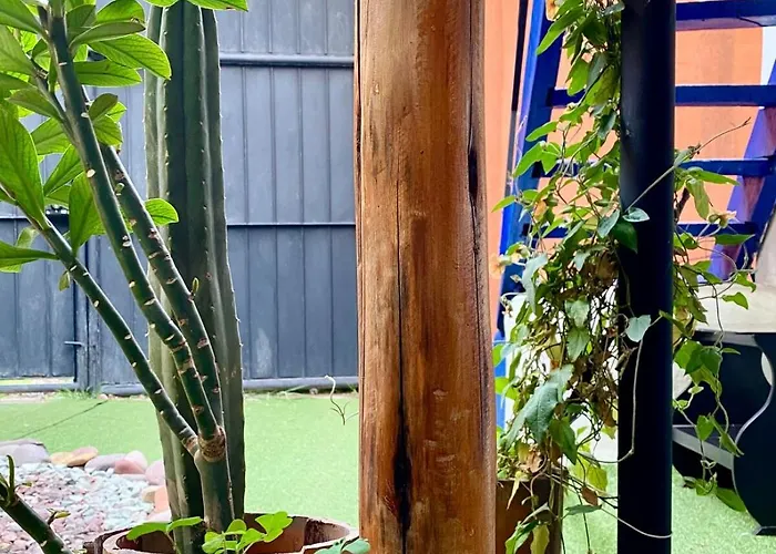 Authentic Peruvian With Gorgeous Patio Holiday home